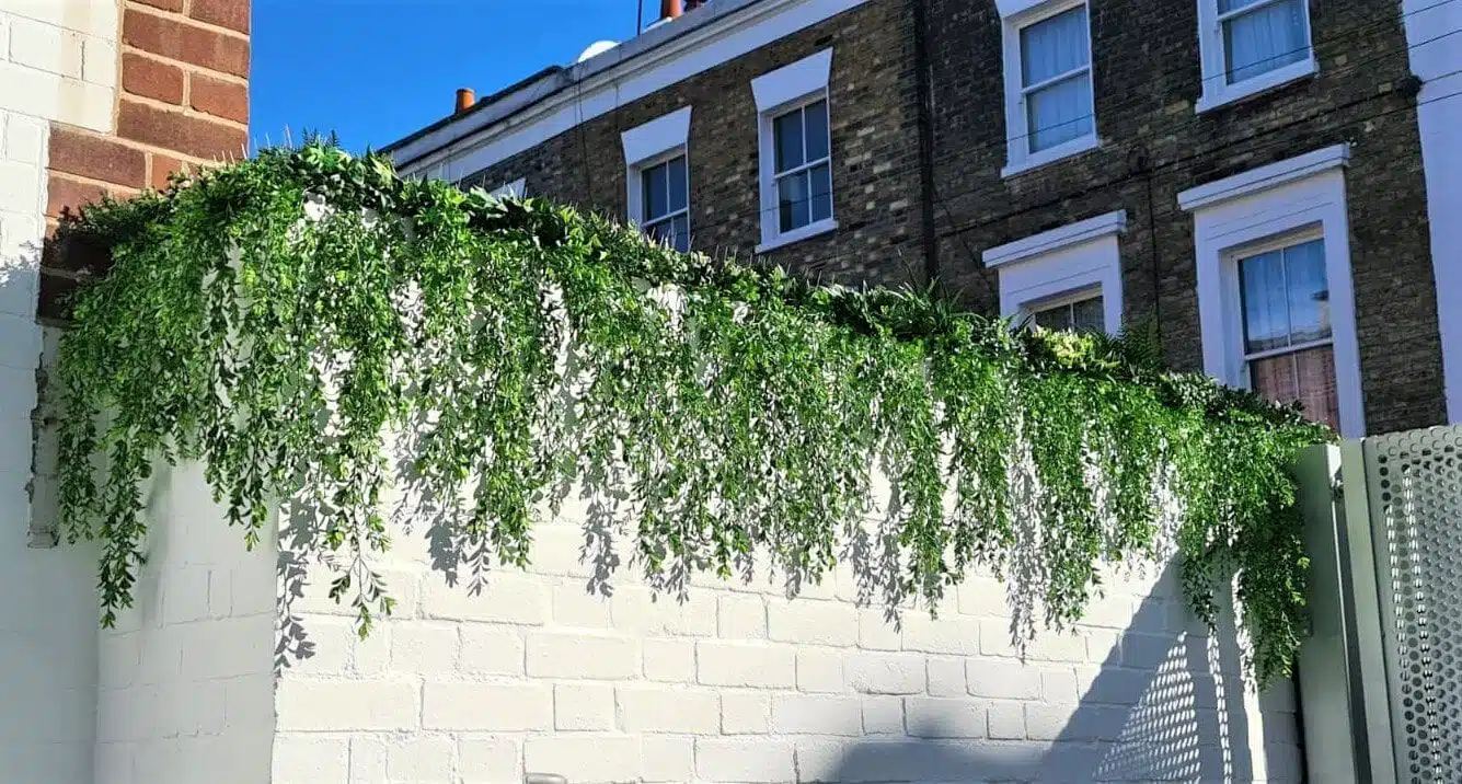 Green ivy cascades over a white brick wall, creating a natural green wall that casts shadows in the bright sunlight. Behind it, two-story brick buildings with white-framed windows overlook an office terrace. The sky above is clear and blue.