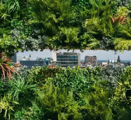 A lush green wall with various plants frames a view of a cityscape in the background. This artificial roof garden in Edinburgh reveals buildings and a partially cloudy sky through the central opening in the foliage.