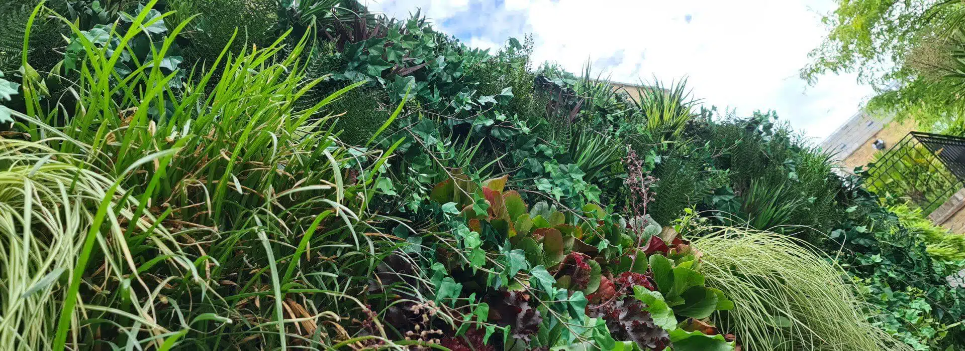 A lush living green wall extension brimming with various plants and grasses thrives against a wooden backdrop. The dense arrangement forms a vibrant, textured natural tapestry, with the sky peeking through at the top.