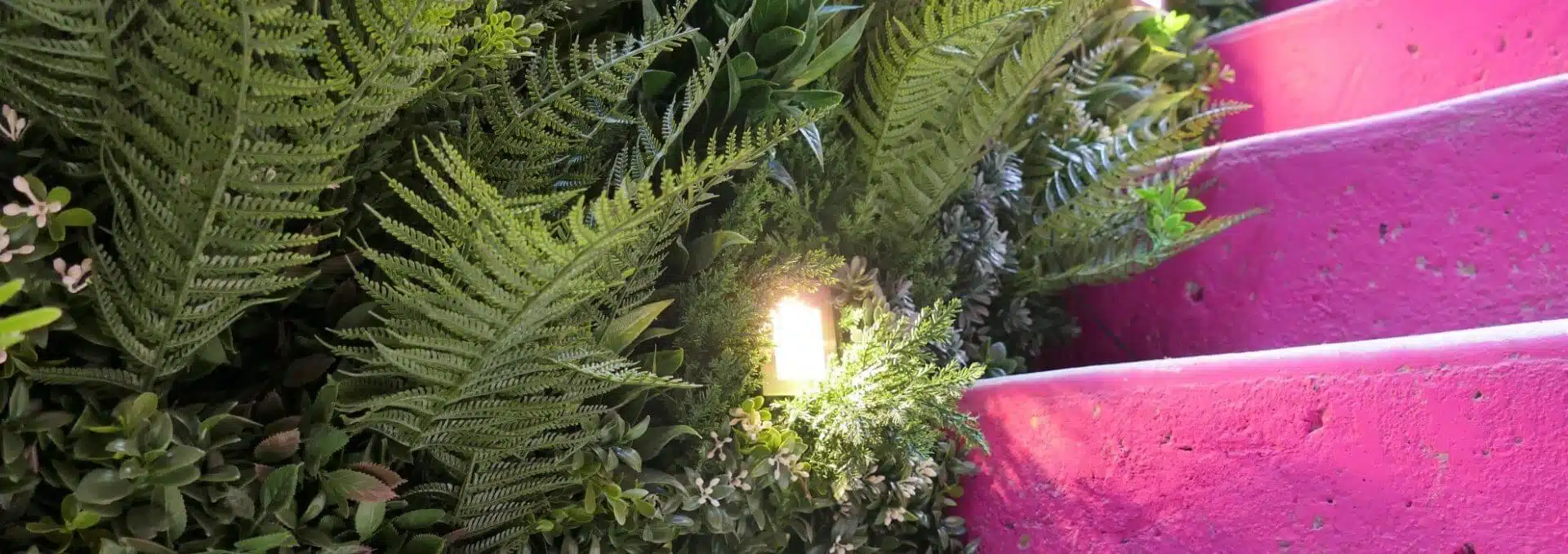 A brightly painted pink staircase is partially visible, surrounded by lush greenery, including ferns and a faux green wall. A small glowing light nestles among the plants, creating a vivid contrast between the natural foliage and the vibrant tropical steps.
