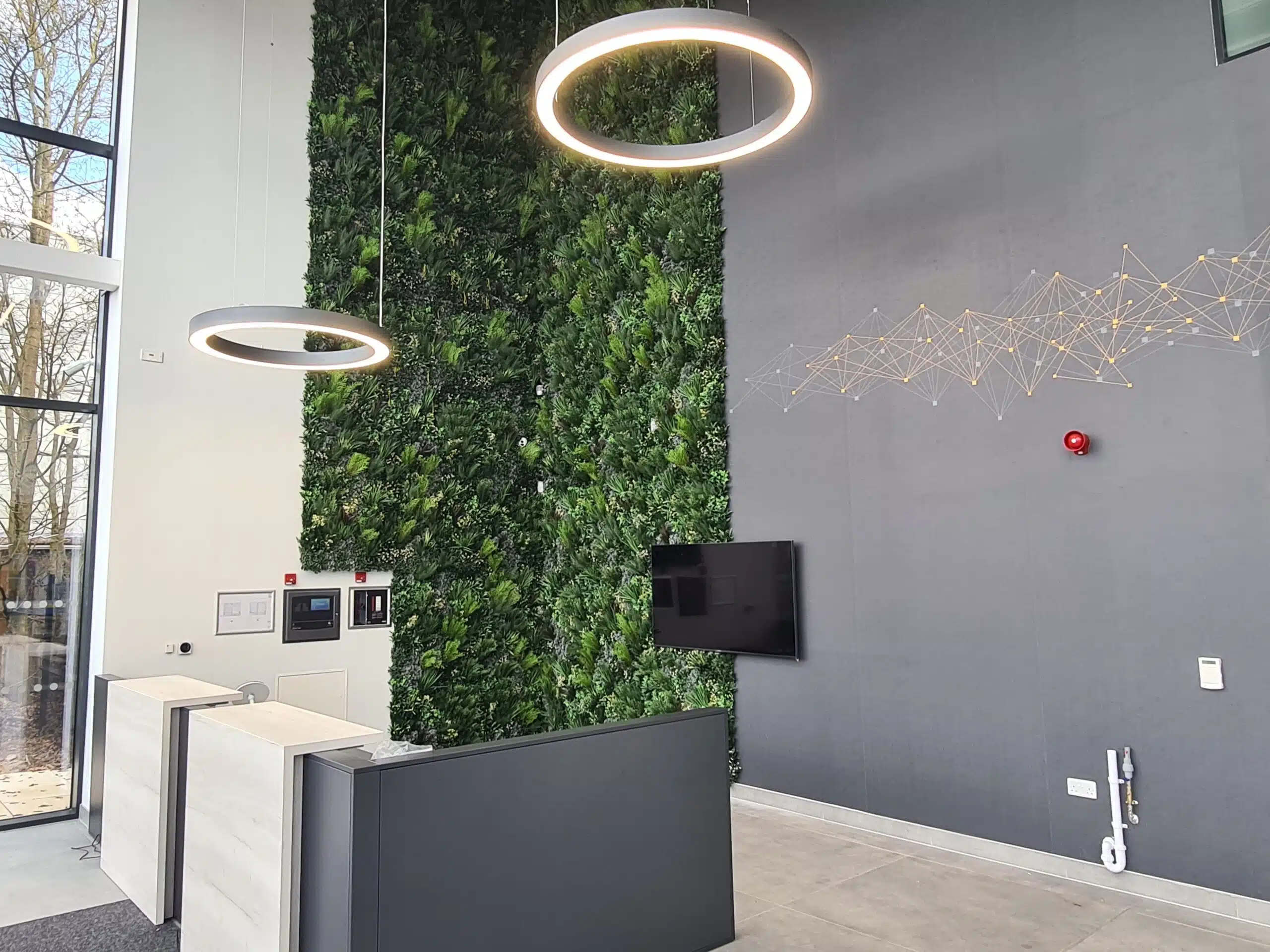 an indoor plant wall installation in an office reception area