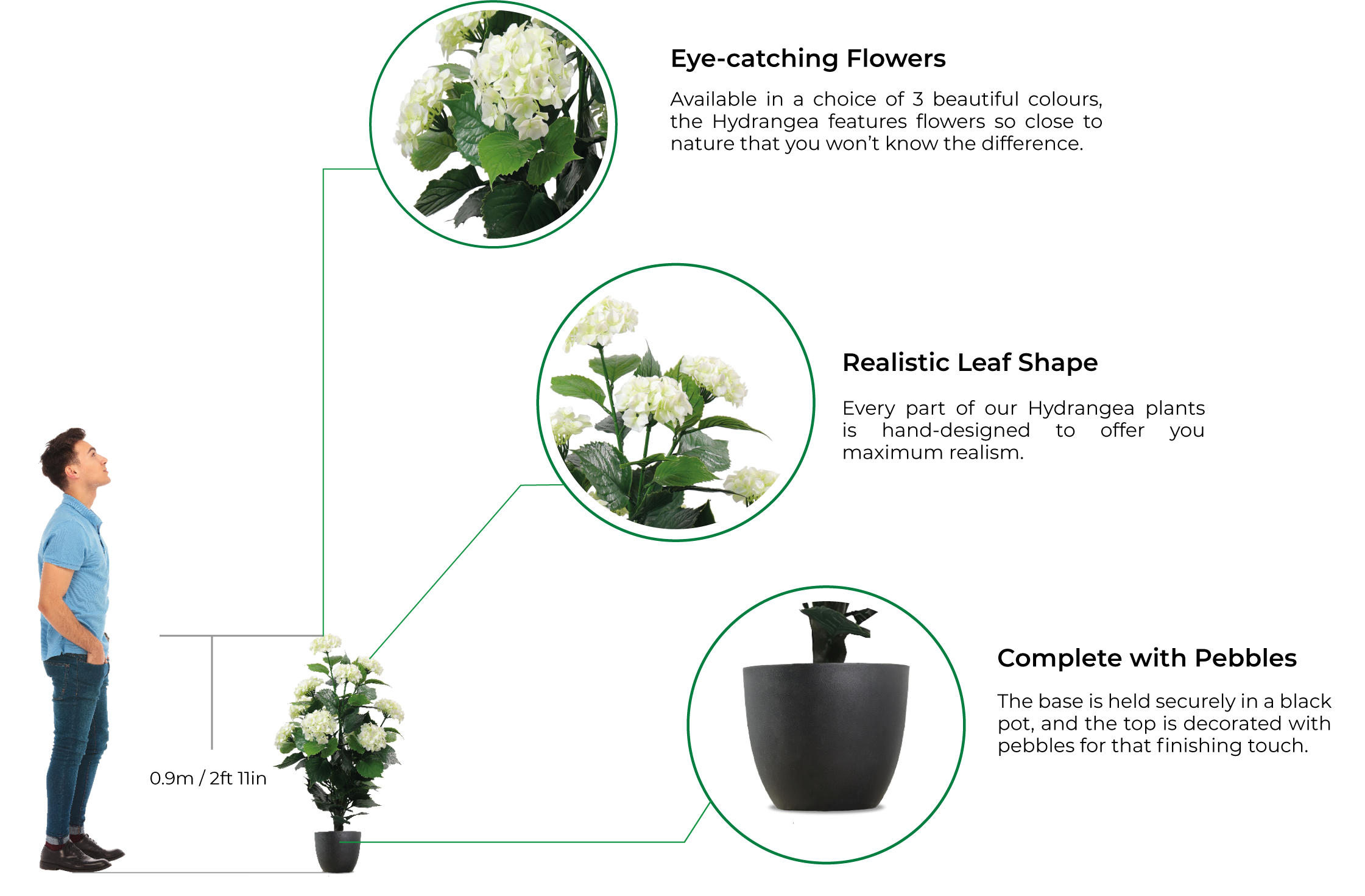 An infographic about the Vistafolia artificial hydrangea plant