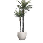 A tall artificial palm tree in a fibreglass pot
