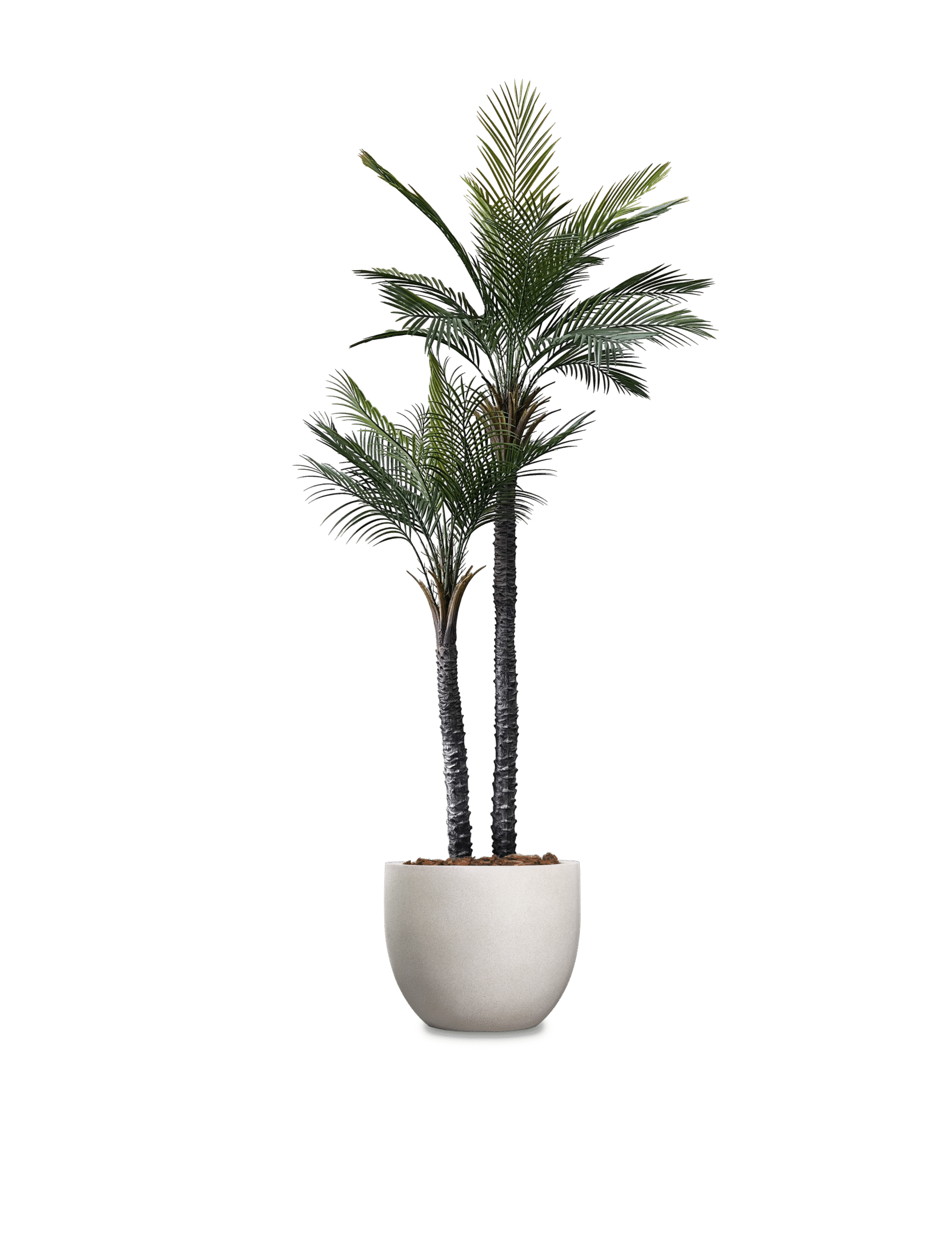 A tall artificial palm tree in a fibreglass pot