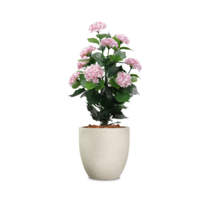 a realistic pink fake hydrangea plant in a cream pot