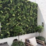 Un mur végétal artificiel dans un jardin intérieur